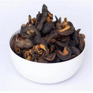 Dried Snail